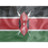 Regular Kenya Icon